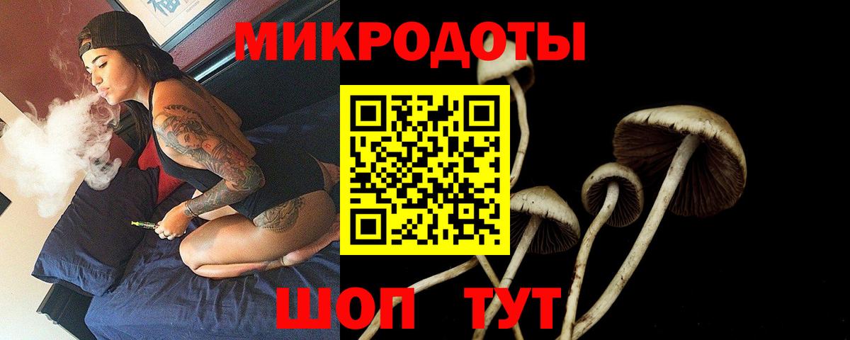 Галлюциногенные грибы Psilocybe  Вход с VPN  Ульяновск 